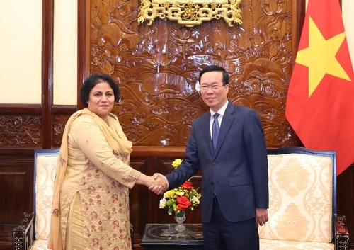 Vietnam y Pakistán afianzan relaciones de amistad y cooperación - ảnh 1