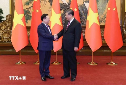 Titular del Parlamento vietnamita se reúne con líder chino, Xi Jinping - ảnh 1