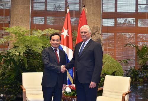 Vietnam reitera su apoyo solidario a Cuba - ảnh 1