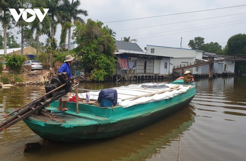 Delta del Mekong aplica soluciones para combatir sequía e intrusión salina - ảnh 2