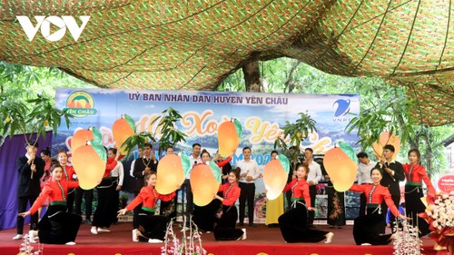 Vibrantes actividades en el V Festival del Mango de Yen Chau 2024 - ảnh 1