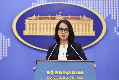 Vietnam profundamente preocupado por información sobre incidente en la zona Bai Co May - ảnh 1