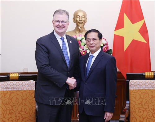 Vietnam y Estados Unidos acuerdan implementar el nuevo marco de relaciones   - ảnh 1
