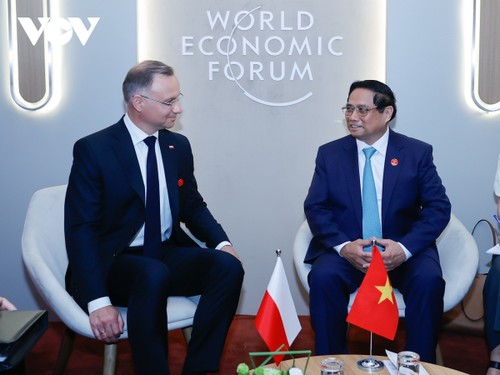 Vietnam y Polonia elevarán relaciones bilaterales a un nuevo nivel - ảnh 1