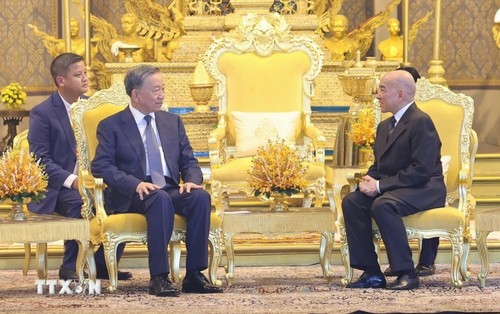 El presidente To Lam se entrevista con el rey camboyano Norodom Sihamoni - ảnh 1
