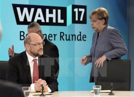 Alemania: Acuerdan efectuar un diálogo sobre la formación del gobierno de coalición - ảnh 1
