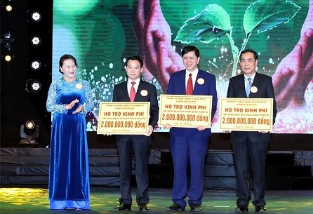 Aúnan esfuerzos por elevar la calidad de vida de los más necesitados en Vietnam - ảnh 1