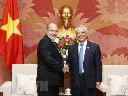 Vicepresidente del Parlamento vietnamita enfatiza la amistad tradicional con Cuba - ảnh 1