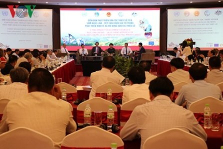 Promueven desarrollo de la cadena de valor en las minorias étnicas de Vietnam - ảnh 1