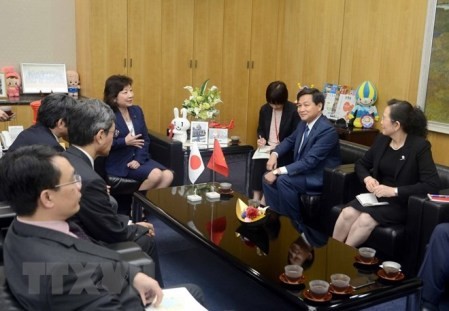La delegación de la Inspección del Gobierno de Vietnam visita Japón - ảnh 1