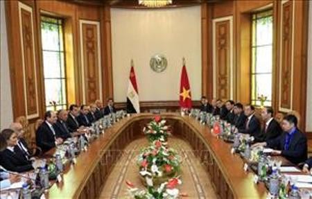 Presidente de Vietnam confía en el gobierno de Abdel Fattah El Sisi - ảnh 1