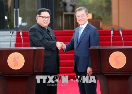 Comunidad internacional alaba resultado de la tercera cumbre entre las dos Coreas  - ảnh 1