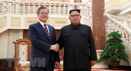 Gobierno de Corea del Sur aprueba el acuerdo intercoreano - ảnh 1