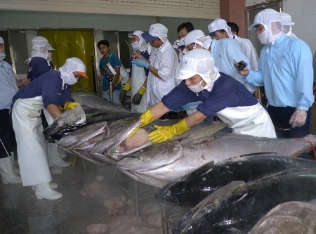 Vietnam por construir una industria de pesca sostenible  - ảnh 1