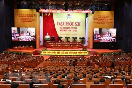 Unión de Agricultores de Vietnam cumple agenda de su séptimo Congreso - ảnh 1