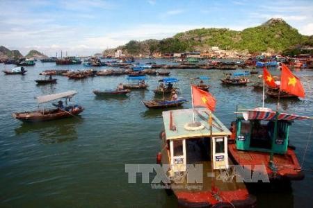 Elaboran plan general para implementar estrategia del desarrollo sostenible de la economía marítima de Vietnam - ảnh 1