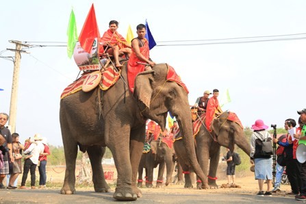 Organizan competición de elefantes en el marco del Festival de Café de Buon Ma Thuot - ảnh 1
