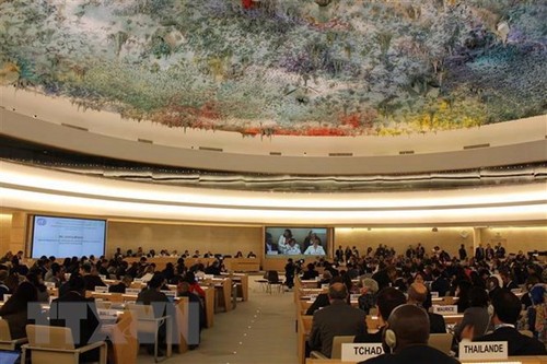 ONU aprueba resolución propuesta por Venezuela sobre los derechos humanos  - ảnh 1