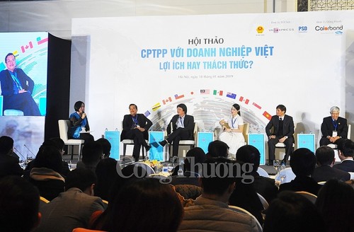 Sector empresarial de Vietnam por aprovechar oportunidades de acuerdo CPTPP - ảnh 1