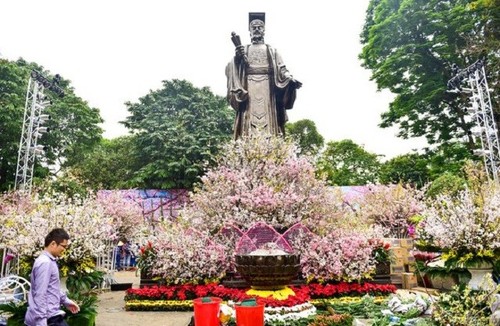 Festival de flor de cerezo Hanói 2019 atrae atención pública - ảnh 1