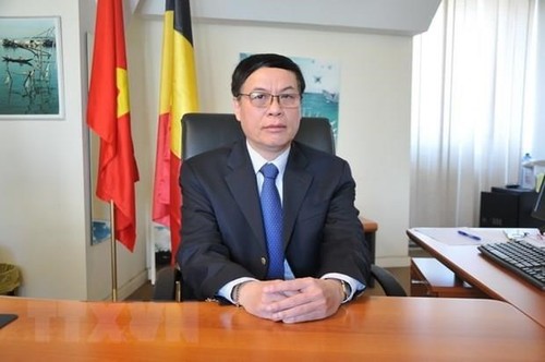 Embajador vietnamita en Bélgica resalta importancia de la colaboración entre parlamentos de su país y de Europa   - ảnh 1