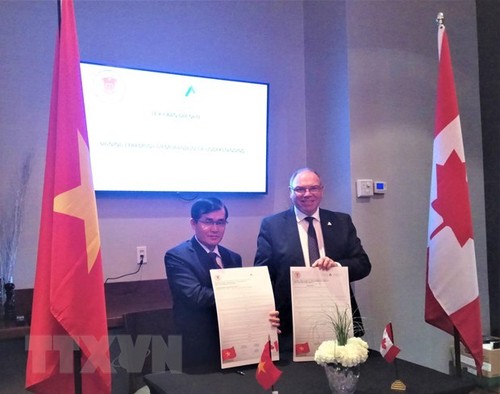  Vietnam y Canadá robustecen cooperación en auditoría - ảnh 1