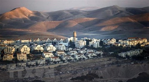 Palestina critica comentarios estadounidenses sobre asentamientos israelíes - ảnh 1