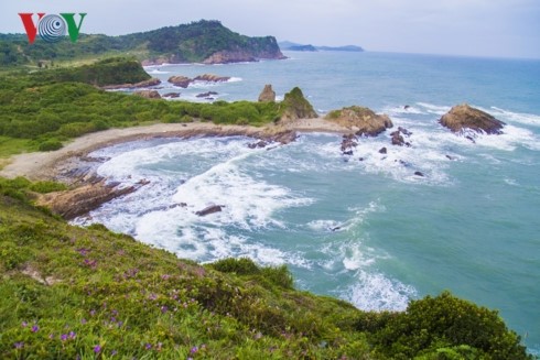 La isla de Co To - perla azul en el Golfo de Tonkín - ảnh 10