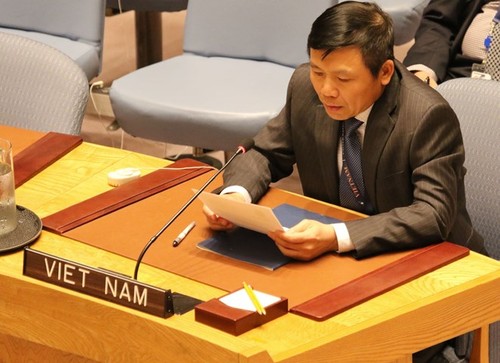 Vietnam pide capacitación y construcción de fuerzas de paz de la ONU - ảnh 1