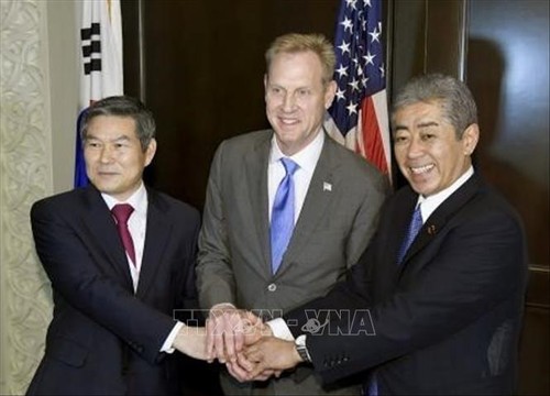 Estados Unidos, Corea del Sur y Japón promueven proceso de desnuclearización norcoreana  - ảnh 1