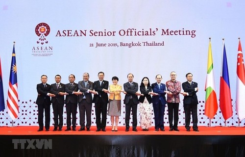 Vietnam contribuirá activamente a los esfuerzos comunes de la Asean, afirma vicecanciller - ảnh 1