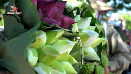 Flores de loto deslumbran a visitantes en verano - ảnh 3