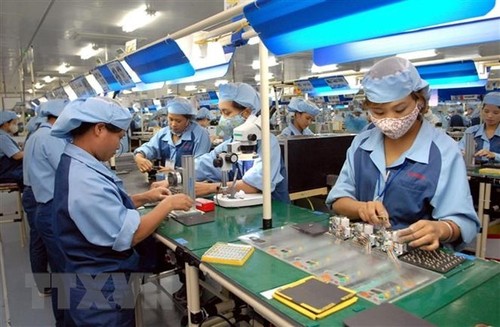  Empresas vietnamitas aprovechan oportunidades del tratado comercial con la Unión Europea - ảnh 1