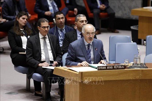 Sin respaldo en Consejo de Seguridad propuestas de resoluciones sobre Siria - ảnh 1