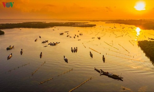 El encanto del pantano de Quang Loi - ảnh 2
