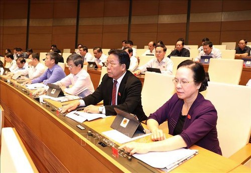 Parlamento de Vietnam ratifica resolución sobre el plan de desarrollo socioeconómico en 2020 - ảnh 1