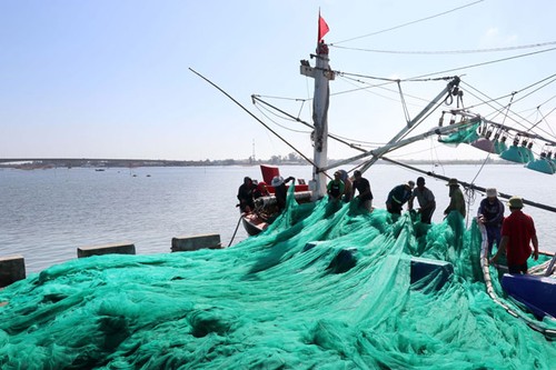 Esfuerzos de la industria pesquera de Vietnam por eliminar sanción europea - ảnh 1