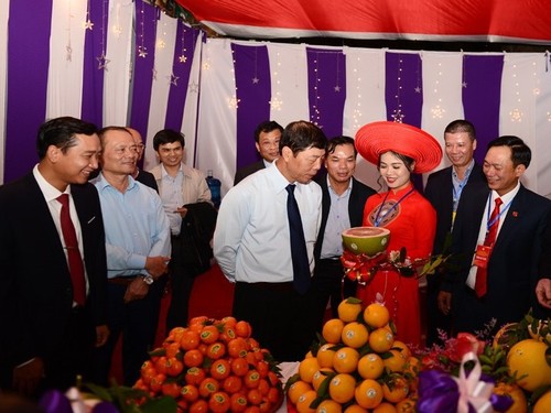 Inauguran Feria de frutas y productos agrícolas de Luc Ngan 2019  - ảnh 1