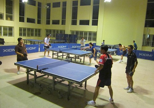 Tenis de mesa, un deporte preferido en Vietnam - ảnh 1