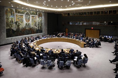 Miembros del Consejo de Seguridad de ONU rechazan plan de Donald Trump sobre Medio Oriente - ảnh 1