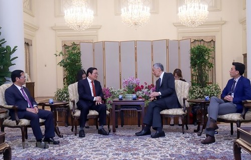 Singapur por fortalecer la cooperación multifacética con Vietnam - ảnh 1