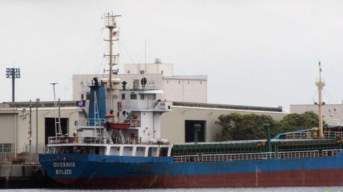 Hundimiento de barco en Japón: Vietnam despliega medidas de protección civil - ảnh 1