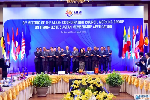 Celebran en Da Nang IX reunión del Grupo de Trabajo del Consejo Coordinador de la Asean - ảnh 1