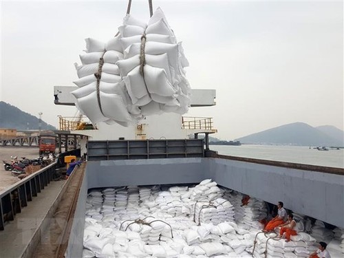Premier vietnamita aprueba la reanudación de la exportación de arroz - ảnh 1
