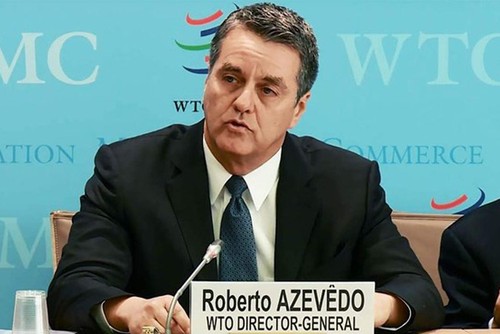 Renuncia director general de la OMC - ảnh 1