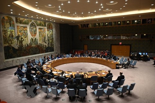 Vietnam preside reunión en línea con los demás países miembros no permanentes del Consejo de Seguridad  - ảnh 1