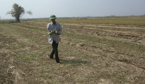 Banco Mundial apoya a Vietnam en respuesta al cambio climático - ảnh 1