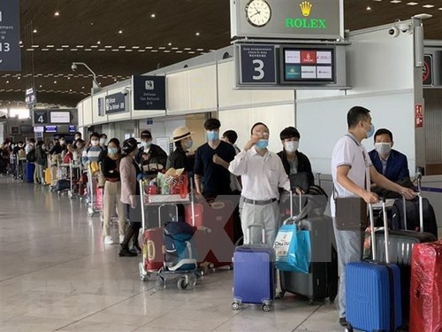 Repatrían a más de 280 ciudadanos vietnamitas varados en Europa - ảnh 1