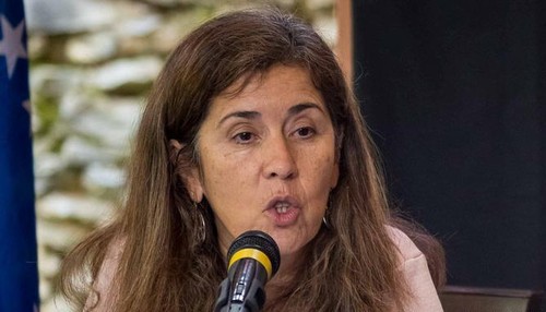 Venezuela abole decisión contra embajadora de la Unión Europea - ảnh 1