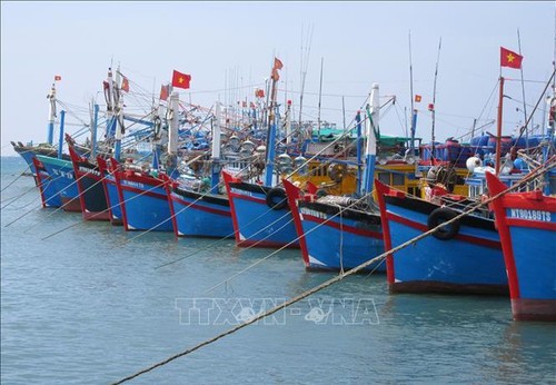 Foreign Affairs alaba medidas de Vietnam en lucha contra la pesca ilegal, no declarada y no reglamentada - ảnh 1